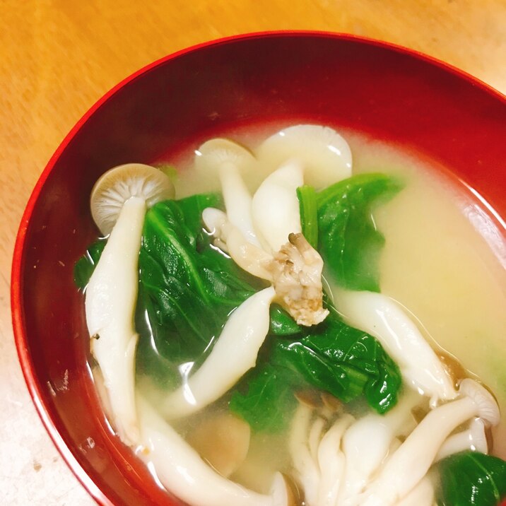 小松菜とぶなしめじの味噌汁　生姜風味